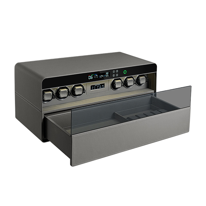Luxury Watch Storage - Vendita Diretta dalla Fabbrica: Lussuosa Scatola